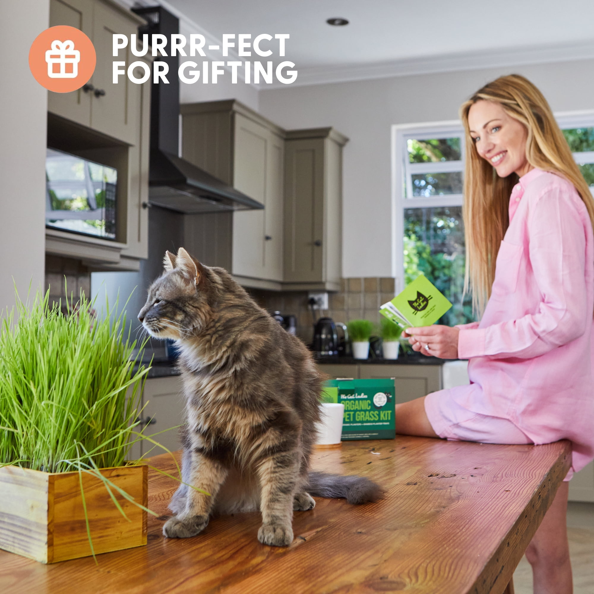 The Cat Ladies Cat Grass Kit complete with Rustic Wood Planter, Organic Seed and Soil. Easy to Grow