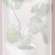 thumbnail image 4 of unbranded 3Ud Bolsas Protectoras Para Plantas Heladas Cubierta Resistente Con Protección Solar, 4 of 8
