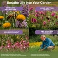 thumbnail image 5 of Organo Republic 23 Wildflower Seeds Annual & Perennial Mix for Indoor & Outdoors, Attract Birds & Butterflies 100,000+ Non-GMO, Heirloom Garden Seeds, 4oz Packet for Growing Wild Flowers, 5 of 7