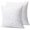 24x24 Inch-2, variant on 20 X 20 Outdoor Pillow Inserts - Pack Of 4 Pillows Water Resistant Throw Square Decorative Couch Sham Cushion Stuffer 20 Inches