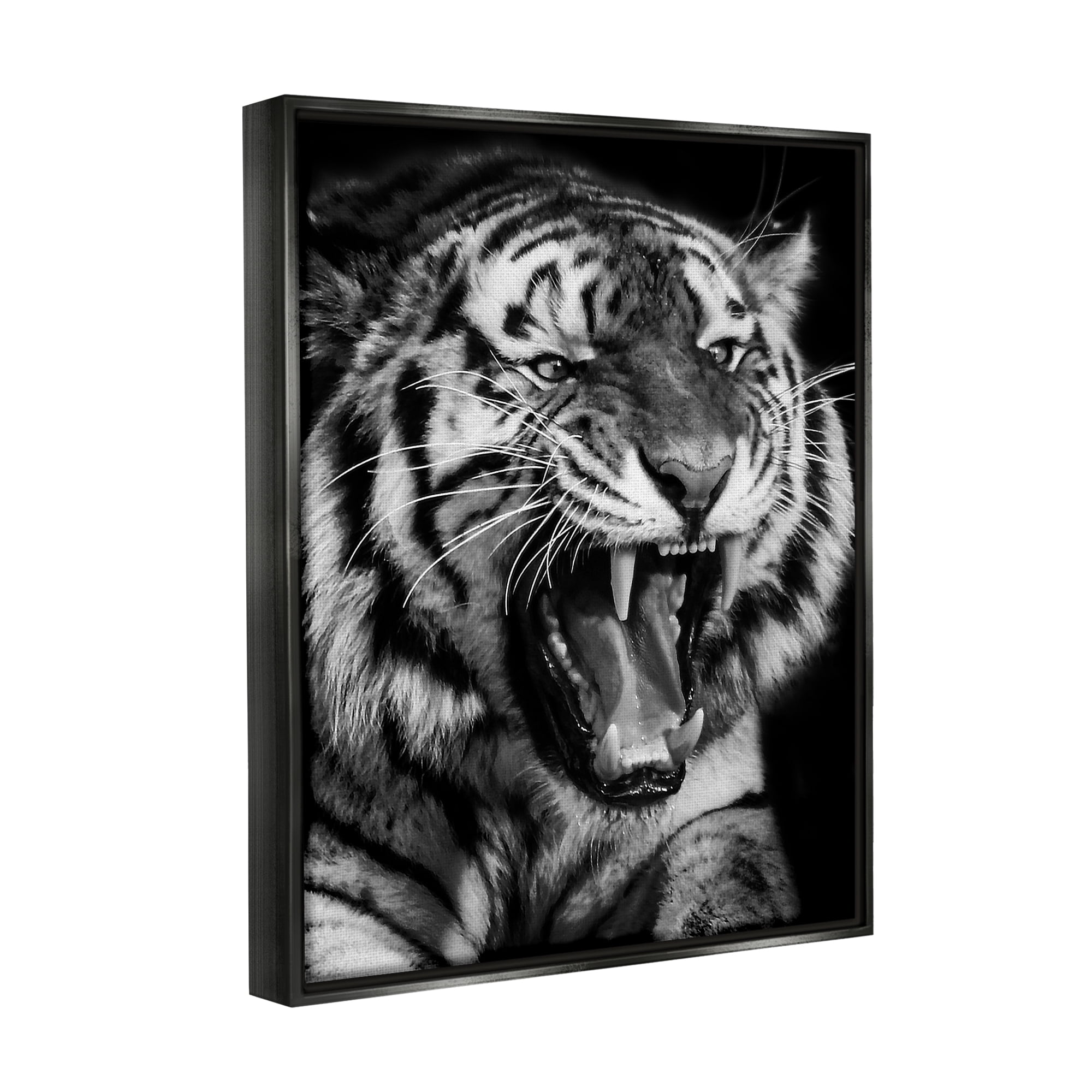 Stupell Industries Tiger Roaring Photography Animals & Insects Photography Black Floater Framed Canvas Art Print Wall Art, 17 x 21