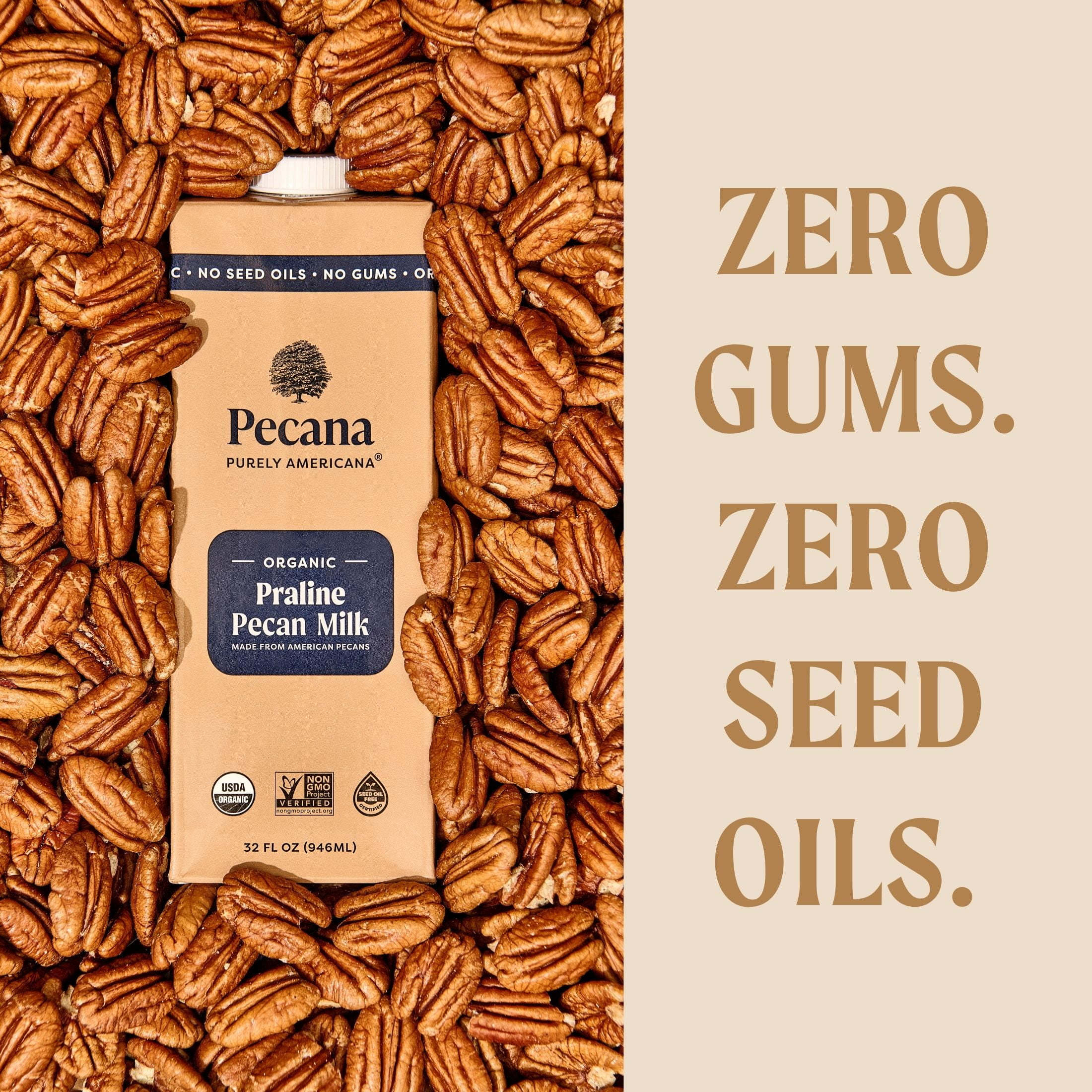 Pecana USDA Organic Praline Pecan Milk 32 fl oz Shelf-Stable Carton