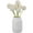 White, variant on Artificial Pom Pom Mum Chrysanthemum 24pcs 11 Inch Pompon Mum Flowers for Wedding Bridal DIY Bouquet Home Décor Centerpieces(White)