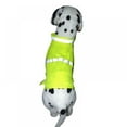 thumbnail image 3 of Reflective Dog Vest Pet Hunting Safety Vest Good Visibility Safety Dog Jacket for Outdoor Activity, 3 of 8