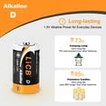 thumbnail image 7 of LiCB Alkaline D Batteries 16-Pack, 1.5 Volts Long-Lasting D Cell Alkaline Batteries Perfect for Camping Lantern, 7 of 7