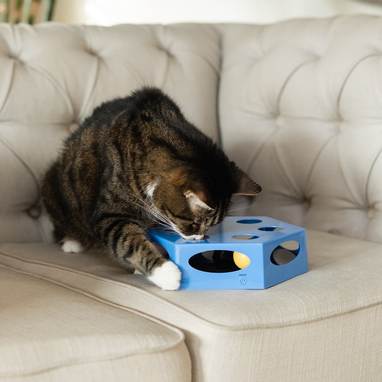 Vibrant Life Hex Maze Electronic Cat Toy, Interactive Hexagon Maze