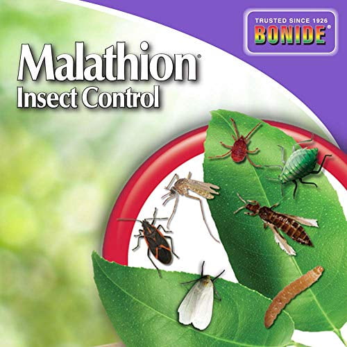 Bonide Malathion Insect Control Concentrate - Insecticide - 16 oz — Residential Use, Standard Application