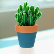 SOPOTUTU Modern Ceramic Planter for Small Ferns and Succulent Storage