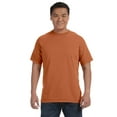 thumbnail image 2 of Comfort Colors Adult Heavyweight RS T-Shirt - C1717, 2 of 5