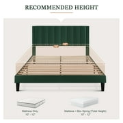 Amolife Queen Size Platform Bed Frame with Upholstered Velvet Channel Headboard, Green