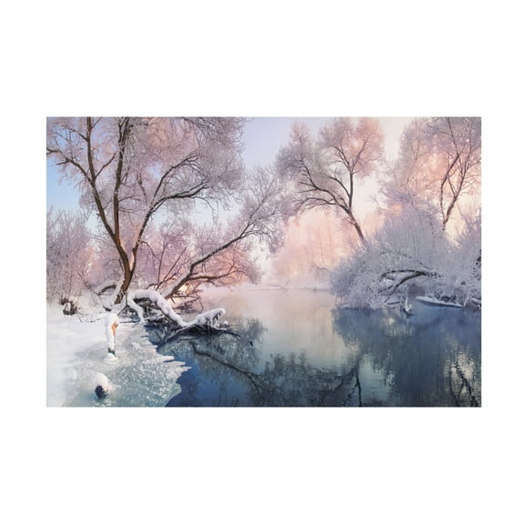 Canvas Wall Art - Vlad Sokolovsky 'Christmas Lace' Wall Art for Living Room, Bedroom, or Office Décor by Trademark Fine Art - 19 x 12 Inches