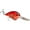 Chili Craw, variant on Strike King KVD 1.5 Flatside Chili Craw