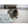 thumbnail image 4 of Petlinks® Mystery Motion™ Concealed Motion Cat Toy, 4 of 13