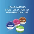 thumbnail image 4 of Vaseline Lip Therapy Cocoa Butter Lip Balm Tin 0.6 Oz, 3 Pack, 4 of 4