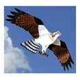 thumbnail image 2 of Kite, 2 of 2