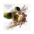 thumbnail image 2 of Perfume Hermès Terre D'Hermes Eau Intense Vetiver EDP 50 ml para Hombre, 2 of 3