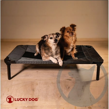 UPC: 0612634211785 | Lucky Dog 30   Elevated Pet Bed Comfort Cot – Gray