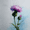 Meadow, variant on Mountain View Landscape Canvas Print, Wall Art for Living Room Bedroom Office Hotel Cafe Recreation Space