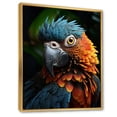 thumbnail image 2 of Designart "Vibrant Portrait of a Parrot I" Animals Floater Framed Canvas Wall Art, 2 of 7