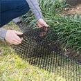 thumbnail image 1 of pitrice 10pcs Garden Protector Cat Net Plastic Anti-Cat Thorn Pet Protection Net Mesh, 1 of 6
