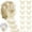 Champagne, variant on 1 Roll Butterflies Lace Fabric Trim, 4yd Butterflies Appliques Embellishments for Dresses Lace Ribbon 3D Embroidered Beaded Trims Patches for Clothes DIY Sewing Christmas Tree Decor(Champagne)