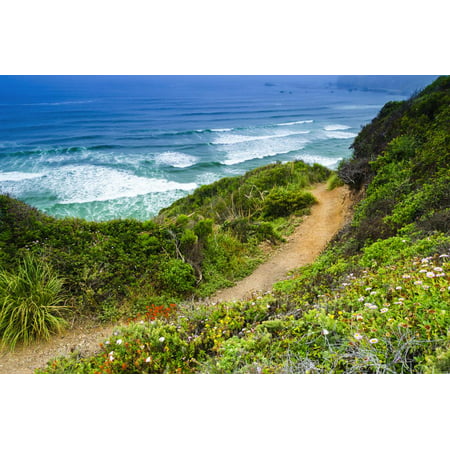 The Trail to Sand Dollar Beach, Los Padres National Forest, Big Sur, California, Usa Print Wall Art By Russ (Best Beach To Find Sand Dollars In Florida)