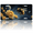 Bee Among Yellow Roses, variant on 1 Pcs 2D Flat License Plate Covers & Frames, Bee Among Yellow Roses For Decorative Front, Waterproof For Decoration Aluminum License Plate Covers & Frames Cover For Men Women, 12" X 6"