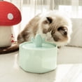 thumbnail image 7 of Happy & Polly Cactus Style Ceramic Cat Water Fountain, 1.5-Liter, 7 of 7