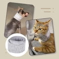 thumbnail image 1 of Collar Isabelino para Gatos Shaofei Ajustable Transpirable para Recuperación, 1 of 4