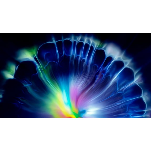 Framed Abstract Wall Art Colorful Flower Generation Pictures Canvas Print Framed Painting For Bedroom Living Room Office Artwork Ready to Hang