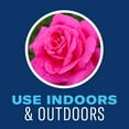 thumbnail image 6 of BioAdvanced Houseplant Insect & Mite Control 24oz Ready to Use, 6 of 8