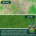 thumbnail image 4 of Medina Hasta Gro Lawn Food Fertilizer 12-4-8, Ready-to-Spray, 32 oz., 4 of 8