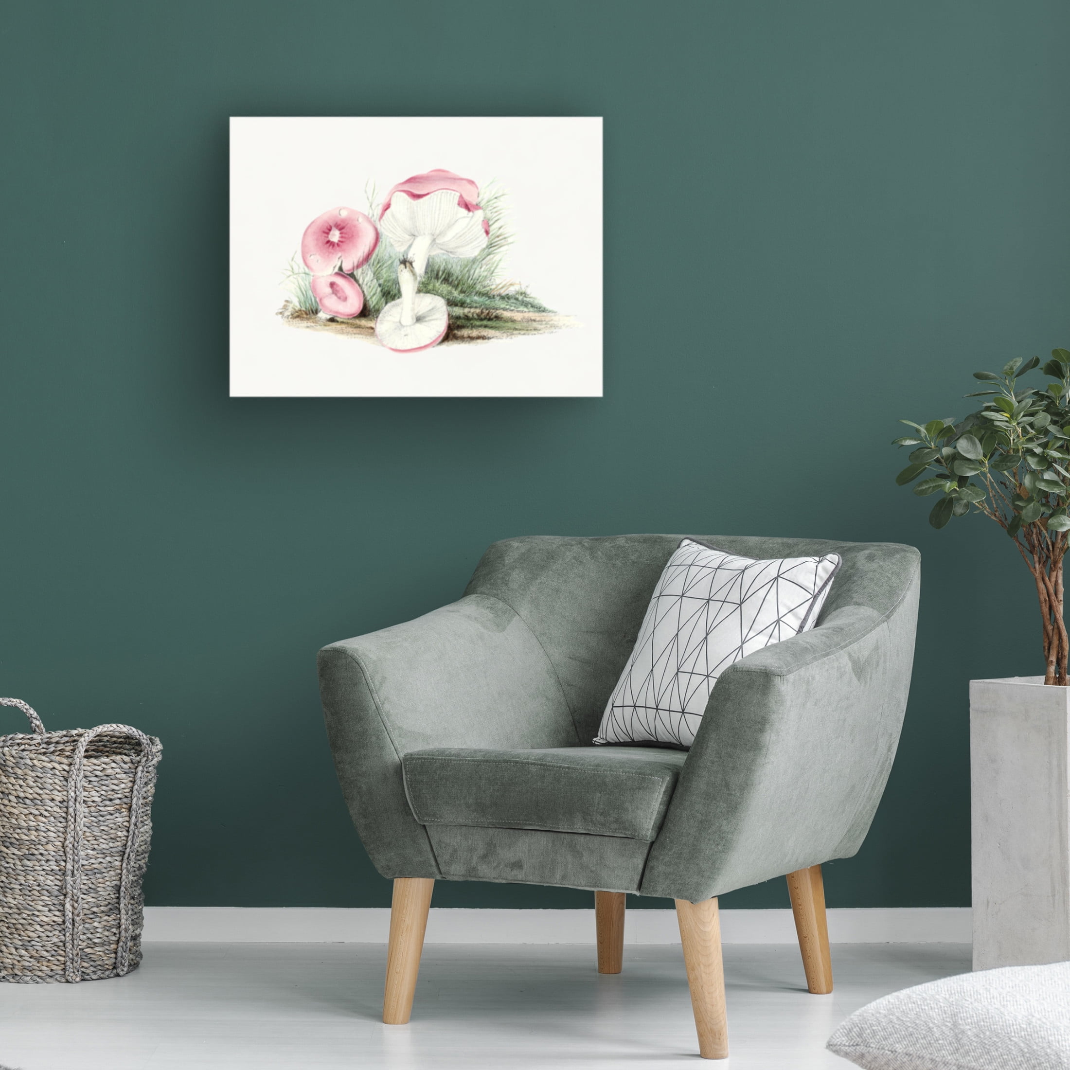 Trademark Fine Art Pictufy Vintage Russula Emetica Mushroom Canvas Wall Art