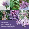 thumbnail image 3 of Spray de habitación Yankee Candle Lilac Blossoms, 45 ml, 3 of 5