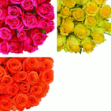 Natural Fresh Flowers - Assorted Color Roses, 20", 75 Stems