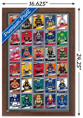 NHL Nashville Predators - Team 21 Wall Poster, 14.725 x 22.375
