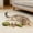 A, variant on Fix Your Cat’s Dental Health,2026 New Creative Fish Bone Cat Toy,Wooden Catnip Teeth Cleaning Stick, Natural Fishbone Cat Dental Toy,Durable Feline Tooth Care Tool