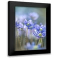 thumbnail image 1 of Parker, Jacky 11x14 Black Modern Framed Museum Art Print Titled - Hepatica, 1 of 5