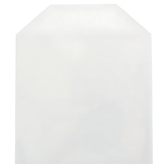 CheckOutStore 500 CPP Clear Plastic Sleeve with Flap (No Stitches)