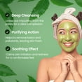 INYVA CleanseCore Detox Face Mask HYZ01 With Algae, Green Tea