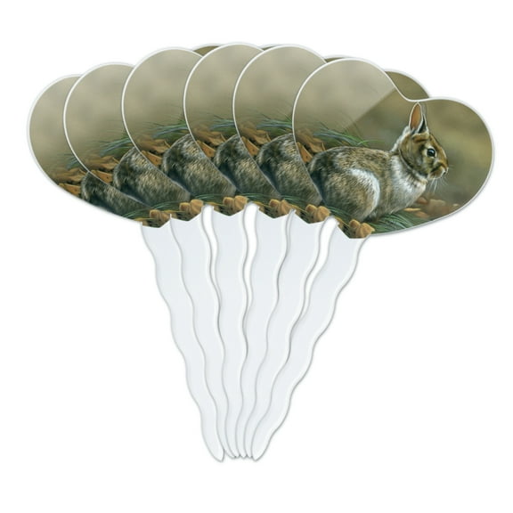 Cottontail Rabbit Bunny Heart Love Cupcake Picks Toppers Decoration Set of 6