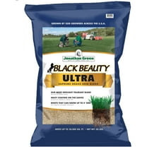 Jonathan Green Black Beauty Ultra Tall Fescue Grass Seed, 50 lb - Dark Green Turf