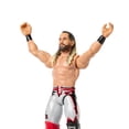 thumbnail image 3 of WWE-Seth-Rollins-Action-Figure,-Main-Event-Series-#163,-6-inch-Collectible-with-Articulation, 3 of 6