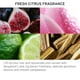 thumbnail image 4 of Bálsamo Blowout Balm Fekkai Clean Stylers Straight Balm, 150 ml, vegano, 4 of 5