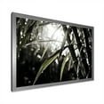 thumbnail image 3 of Designart "Black And White Photo Of Bamboo" Bamboo Picture Framed Wall Art Prints, 3 of 5