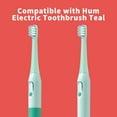 thumbnail image 3 of Replacement Toothbrush Heads Compatible with Colgate Hum Connected Smart Battery Toothbrush Refill Head, Green, 6 Pack, 3 of 6