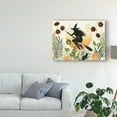 thumbnail image 3 of Trademark Fine Art 'The Witchs Garden I' Canvas Art by Grace Popp, 3 of 4