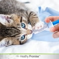 thumbnail image 2 of Four Paws Healing Remedies Easy Feeder Hand Syringe for Dogs, Cats & Other Small Animals, 2 of 4