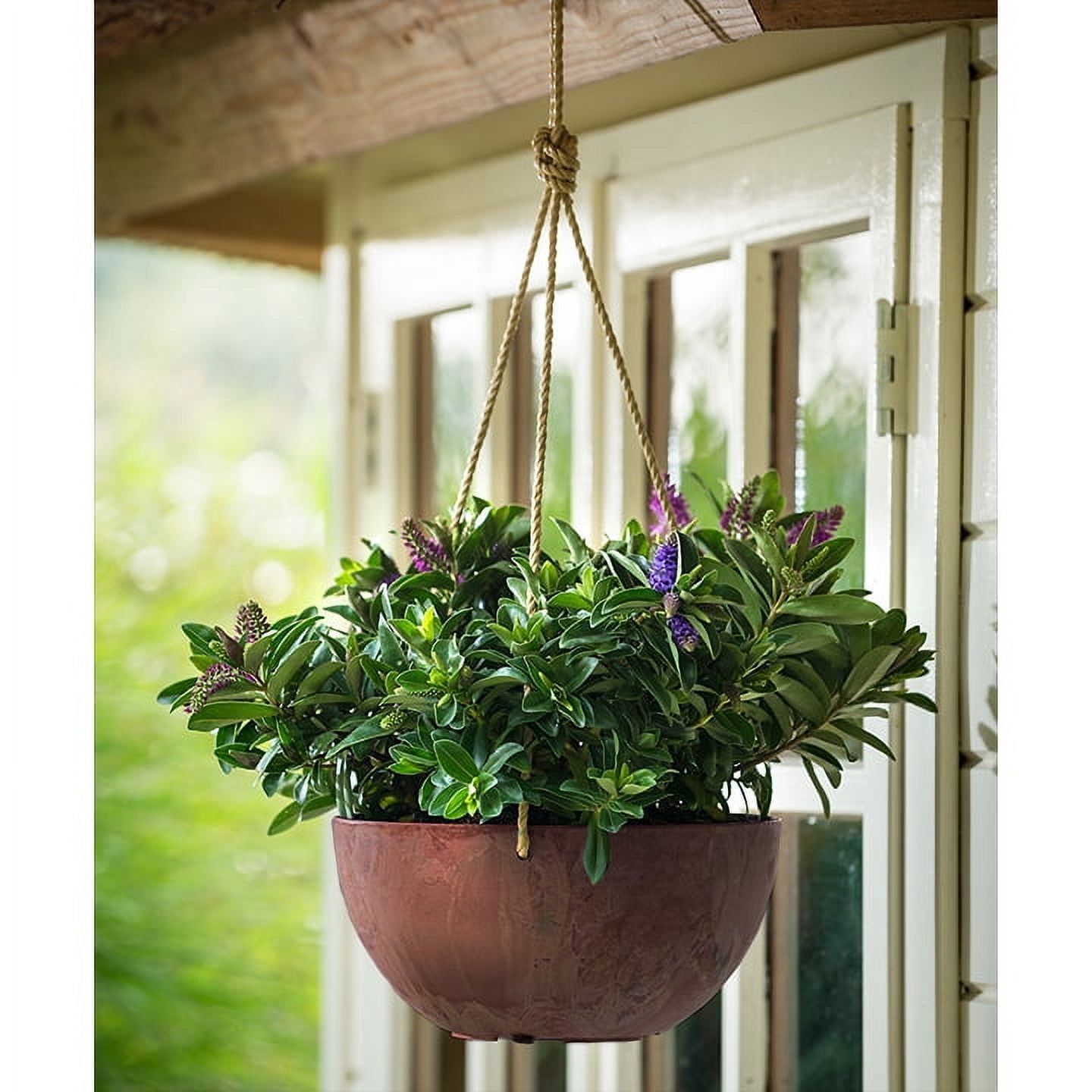 Root & Vessel Napa Hanging Bowl Planter, Rust, 12"