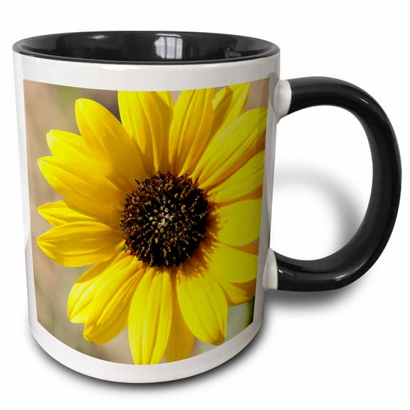 3drose, Usa, Kansas. Sunflower, 11oz Two-tone Black Mug